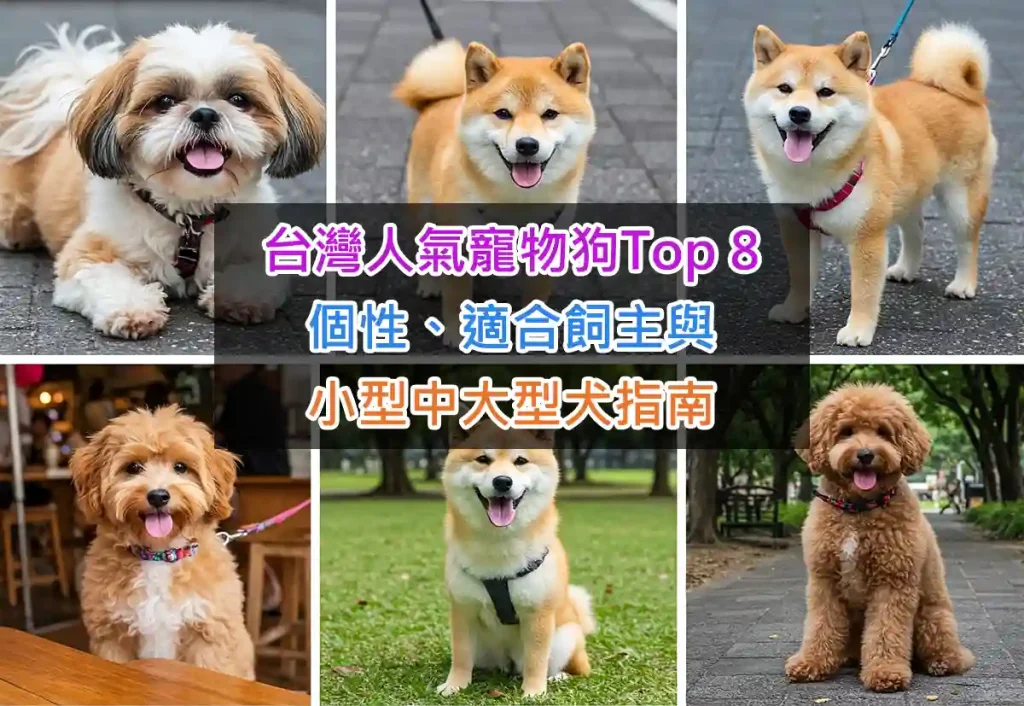 台灣人氣寵物狗Top 8：個性、適合飼主與小型中大型犬指南