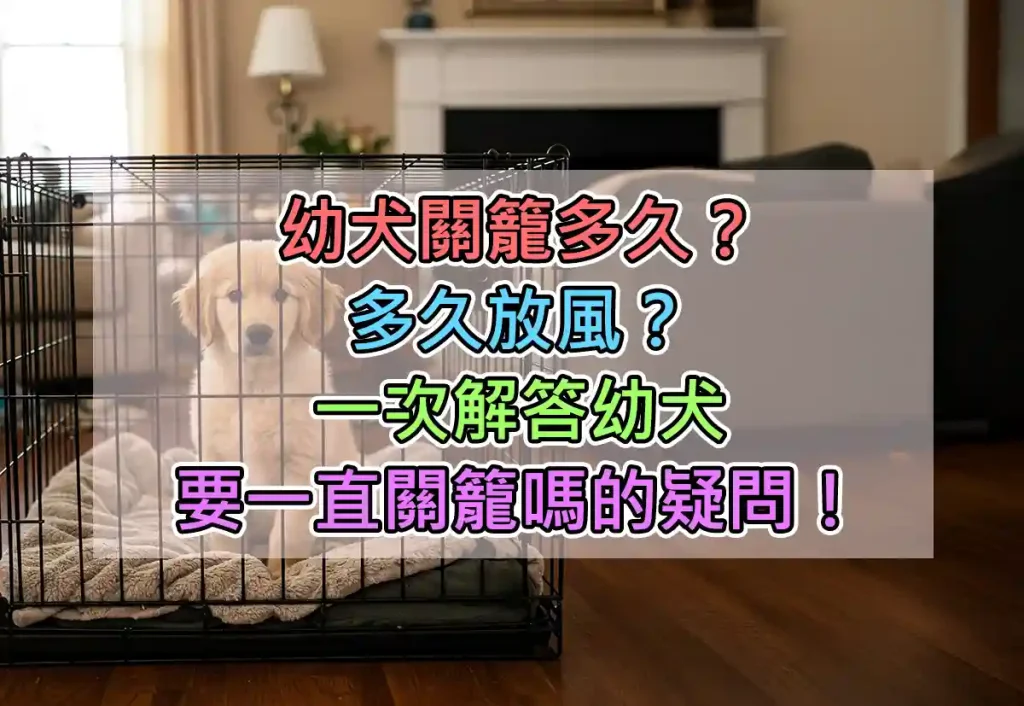 幼犬關籠多久?多久放風?一次解答幼犬要一直關籠嗎的疑問!