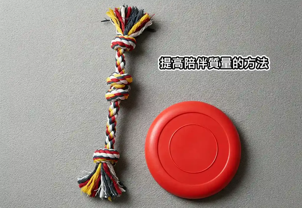 提高陪伴質量的方法-拔河繩或飛盤