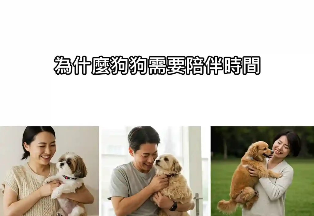 為什麼狗狗需要陪伴時間