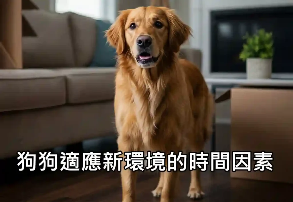 狗狗適應新環境的時間因素
