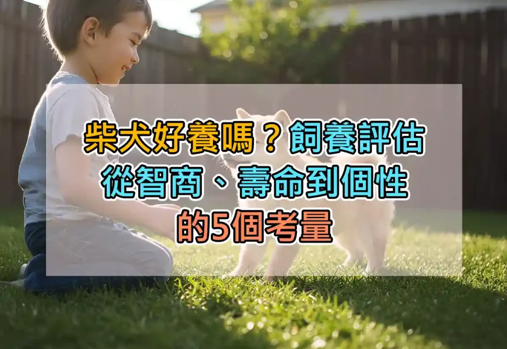 柴犬好養嗎?飼養評估:從智商、壽命到個性的5個考量