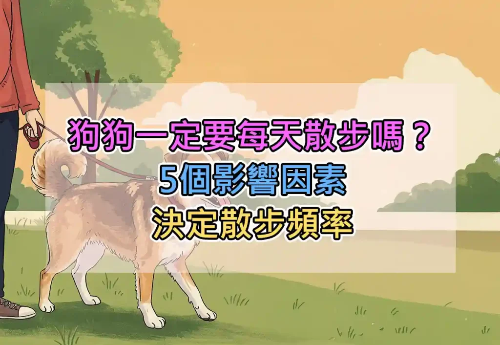 狗狗一定要每天散步嗎?5個影響因素決定散步頻率