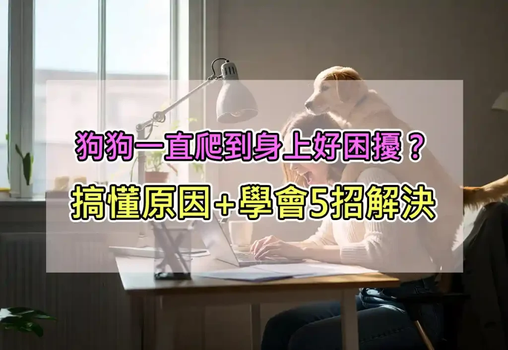 狗狗一直爬到身上好困擾?搞懂原因+學會5招解決