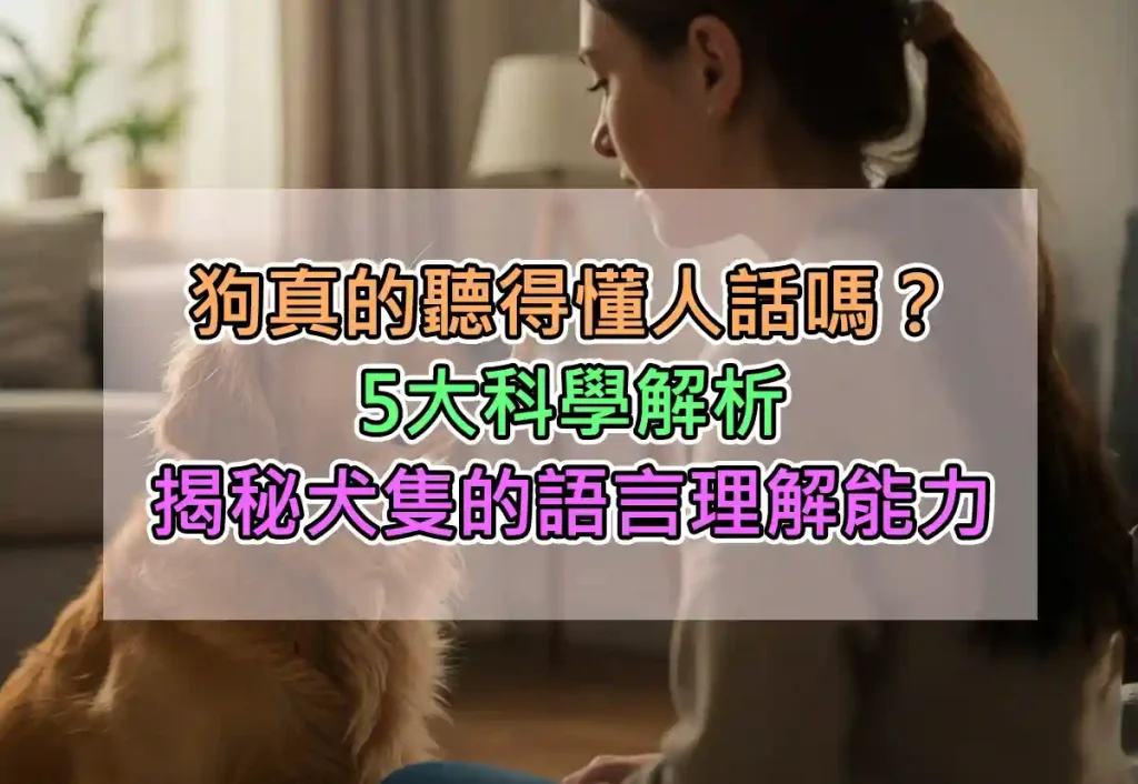 狗真的聽得懂人話嗎？5大科學解析揭秘犬隻的語言理解能力