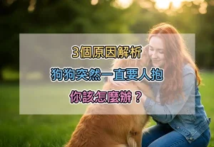 3個原因解析：狗狗突然一直要人抱，你該怎麼辦？