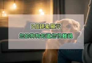 5個跡象顯示您的狗狗知道您很難過