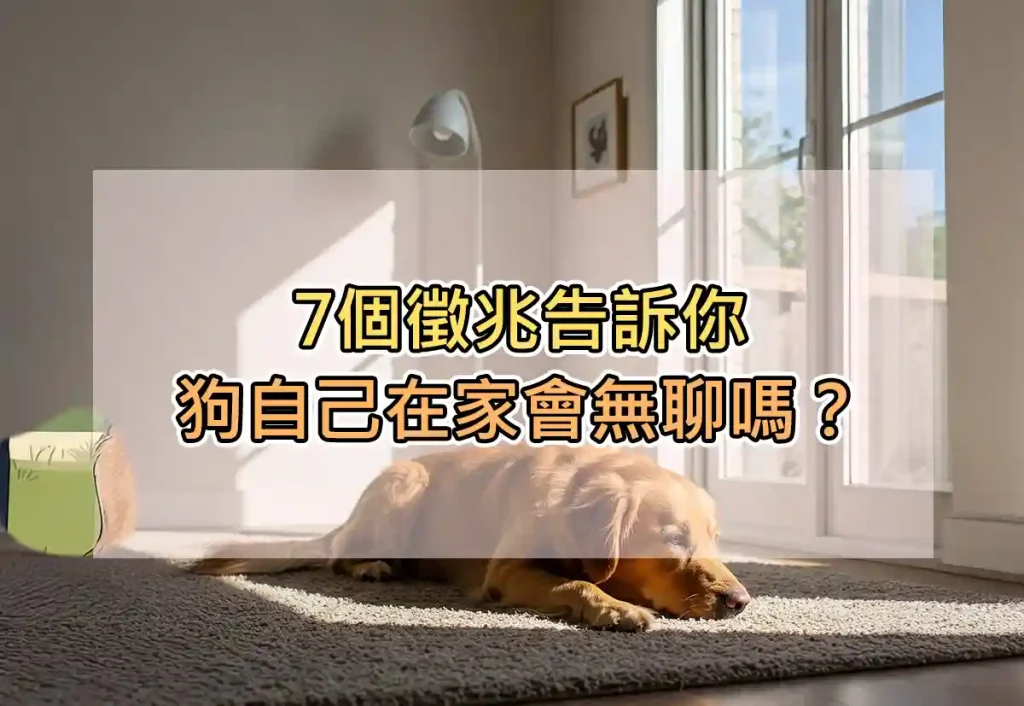 7個徵兆告訴你:狗自己在家會無聊嗎?