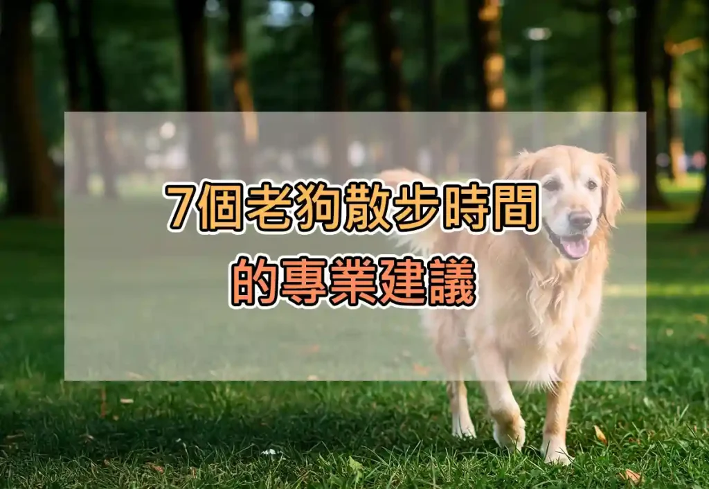 7個老狗散步時間的專業建議