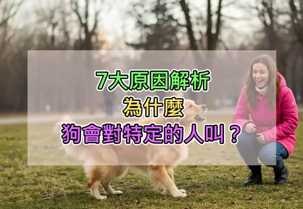 7大原因解析：為什麼狗會對特定的人叫？