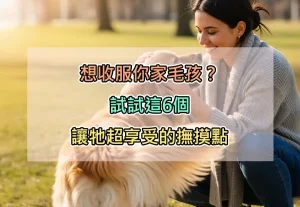 想收服你家毛孩？試試這6個讓牠超享受的撫摸點！