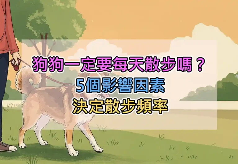 狗狗一定要每天散步嗎？5個影響因素決定散步頻率