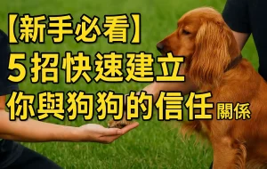 【新手必看】5招快速建立你與狗狗的信任關係