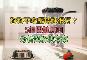 狗狗不吃飯精神很好？5個關鍵原因分析與解決方案