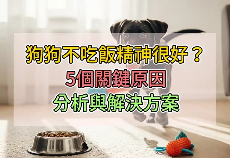 狗狗不吃飯精神很好？5個關鍵原因分析與解決方案