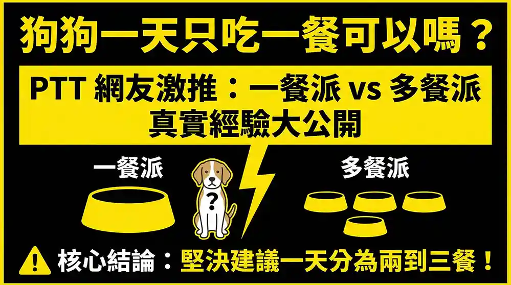狗狗一天只吃一餐可以嗎?PTT 網友激推:一餐派 vs 多餐派真實經驗大公開