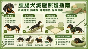 抱狗狗別再托腋下！臘腸犬減壓抱法、地墊挑選與階梯避坑指南