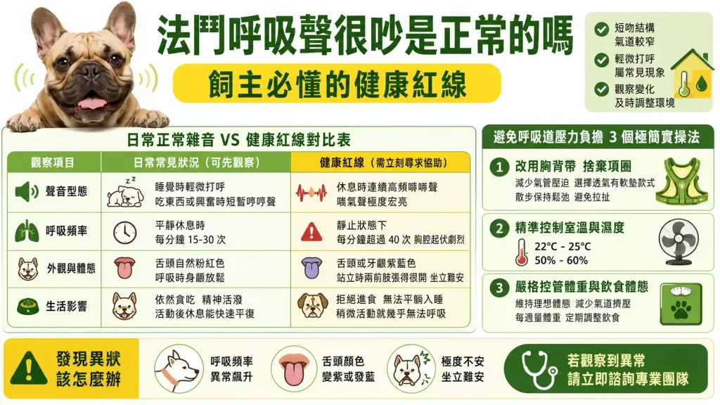 法鬥呼吸聲很吵是正常的嗎？飼主必懂的健康紅線