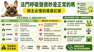 法鬥呼吸聲很吵是正常的嗎？飼主必懂的健康紅線