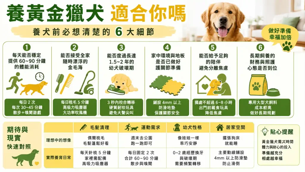 養黃金獵犬真的適合你嗎?從運動量到毛髮災難,拆解養犬前必想清楚的 6 大細節