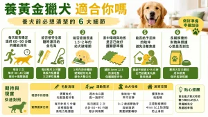 養黃金獵犬真的適合你嗎？從運動量到毛髮災難，拆解養犬前必想清楚的 6 大細節
