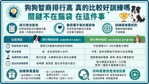 狗狗智商排行榜前幾名真的比較好訓練嗎？關鍵不在腦袋，在這件事